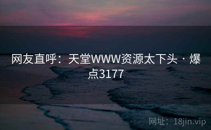 网友直呼：天堂WWW资源太下头 · 爆点3177