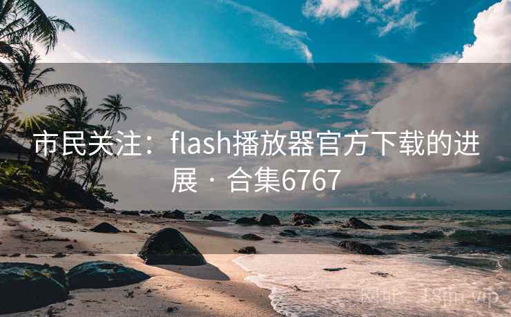市民关注：flash播放器官方下载的进展 · 合集6767